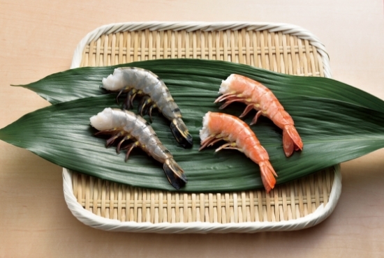 shrimp_04