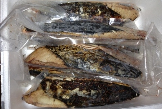 seafood_03