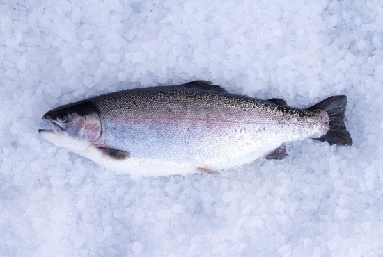 seafood_07