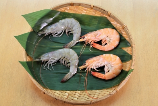 shrimp_10