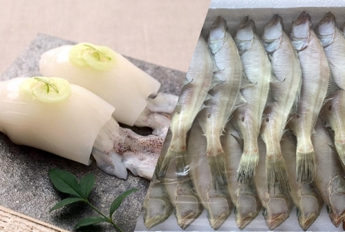 sushi_00